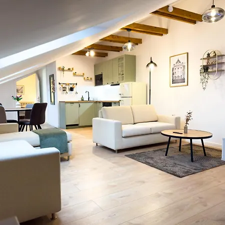 Attic Apartment, Center Of With Private Parking 아파트