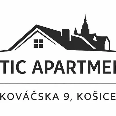Attic Apartment, Center Of With Private Parking Appartamento